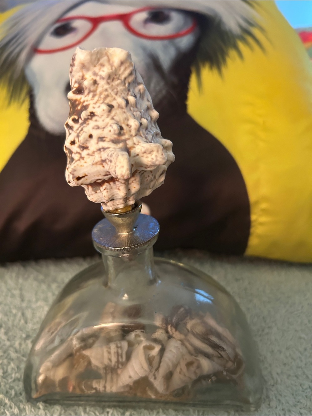 Odd shaped Bottle containing seashell with shell stopper & seashell wine stopper - Picture 7 of 11